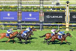 Moonlover saluting at Flemington, May 2019